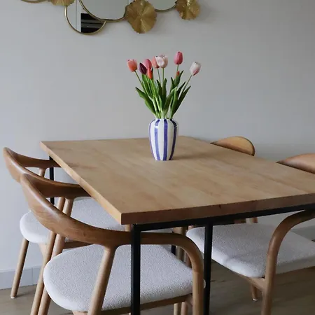 Gezellig Met Privé Parking Appartement La Panne